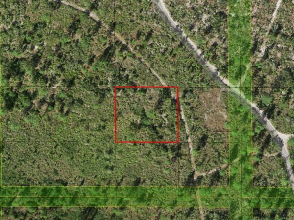 0 Holopaw Groves Road, St. Cloud, FL 34772
