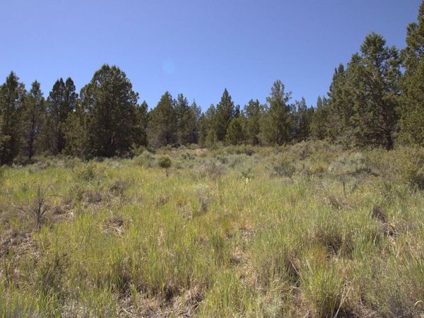 Wasco Street, Unit Lot 3, Sprague River, OR 97639
