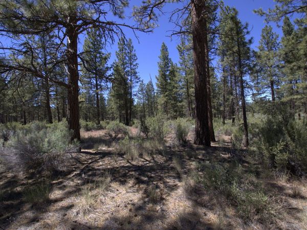 Pow Wow Lane, Unit Lot 15, Sprague River, OR 97639