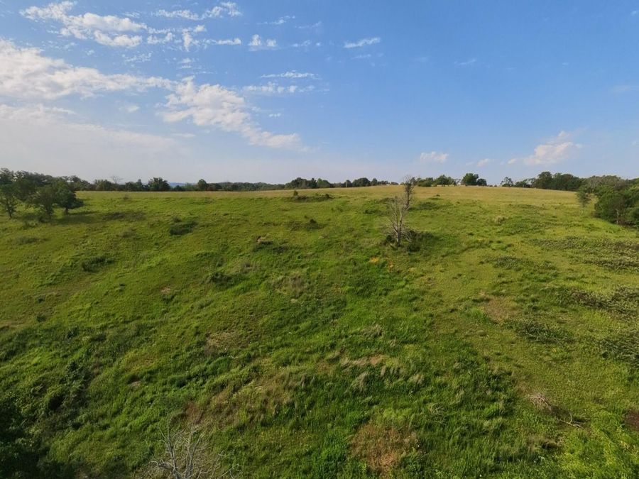 Property Image 103