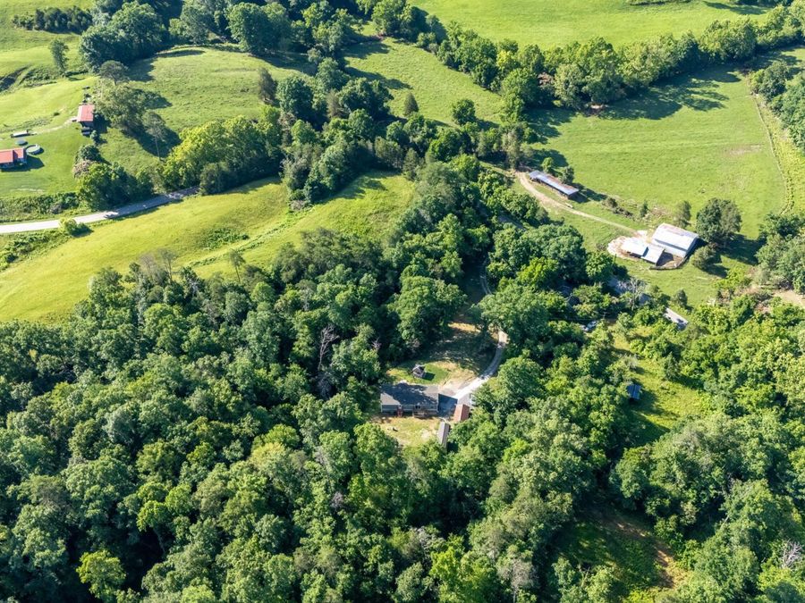 Property Image 39
