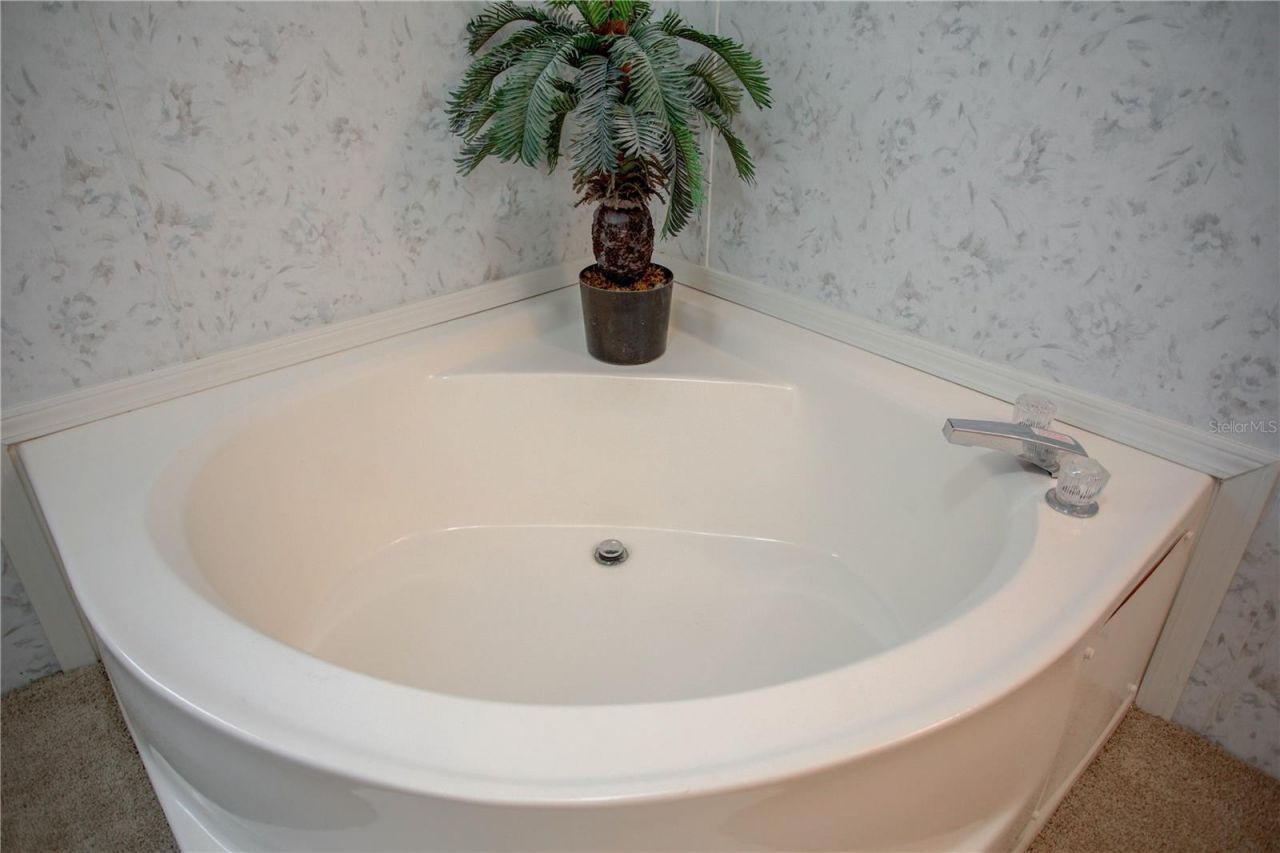 132 Glenside Street, Georgetown, FL 32139 Photo