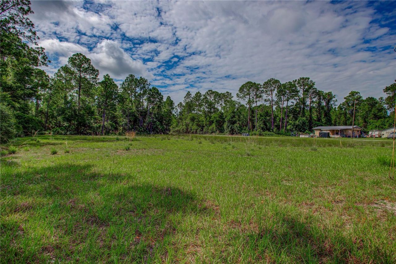 132 Glenside Street, Georgetown, FL 32139 Photo