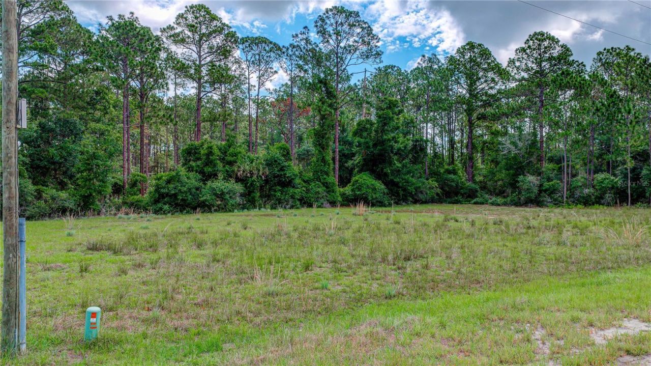 132 Glenside Street, Georgetown, FL 32139 Photo