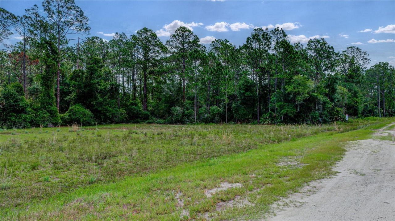 132 Glenside Street, Georgetown, FL 32139 Photo