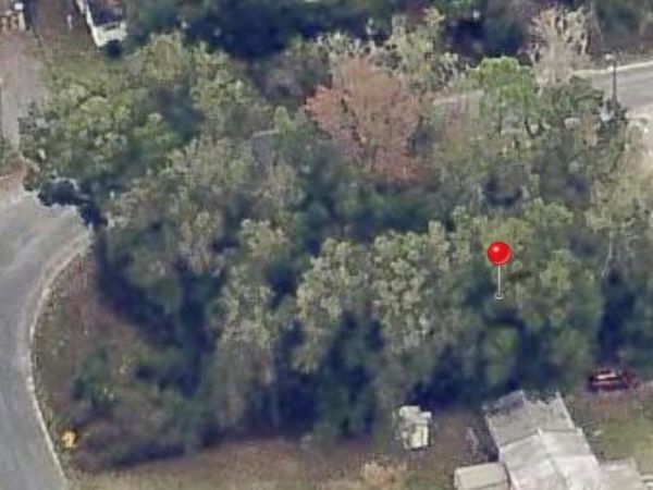 00 NE 172ND PLACE , CITRA, FL 32113