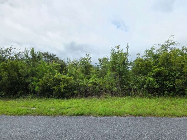 TBD SE WEEKS LANE, Lake City, FL 32025