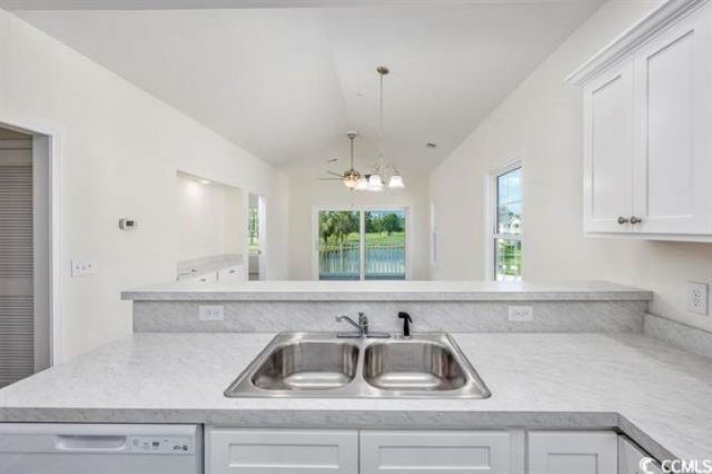 545 White River Dr. Photo 4