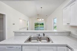 545 White River Dr. photo 4