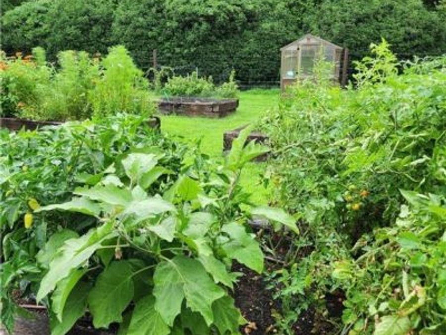 Property Image 17