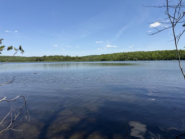 Map 21 Lot 11 Bear Lane , Dexter, ME 04930