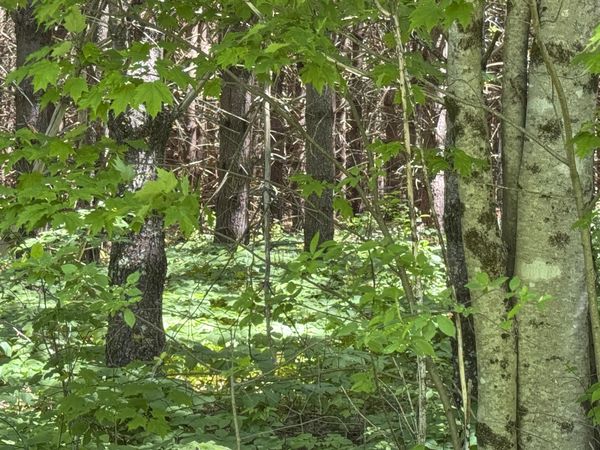 lot 23 Mountain View Lane , Hope, ME 04847