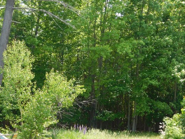 M18 L88 Crosby Street , Hartland, ME 04943
