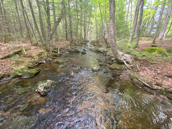 783 Half Township Road , Lincoln, ME 04457