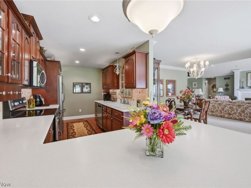 149 Village Court, Columbiana, OH 44408 Photo 5