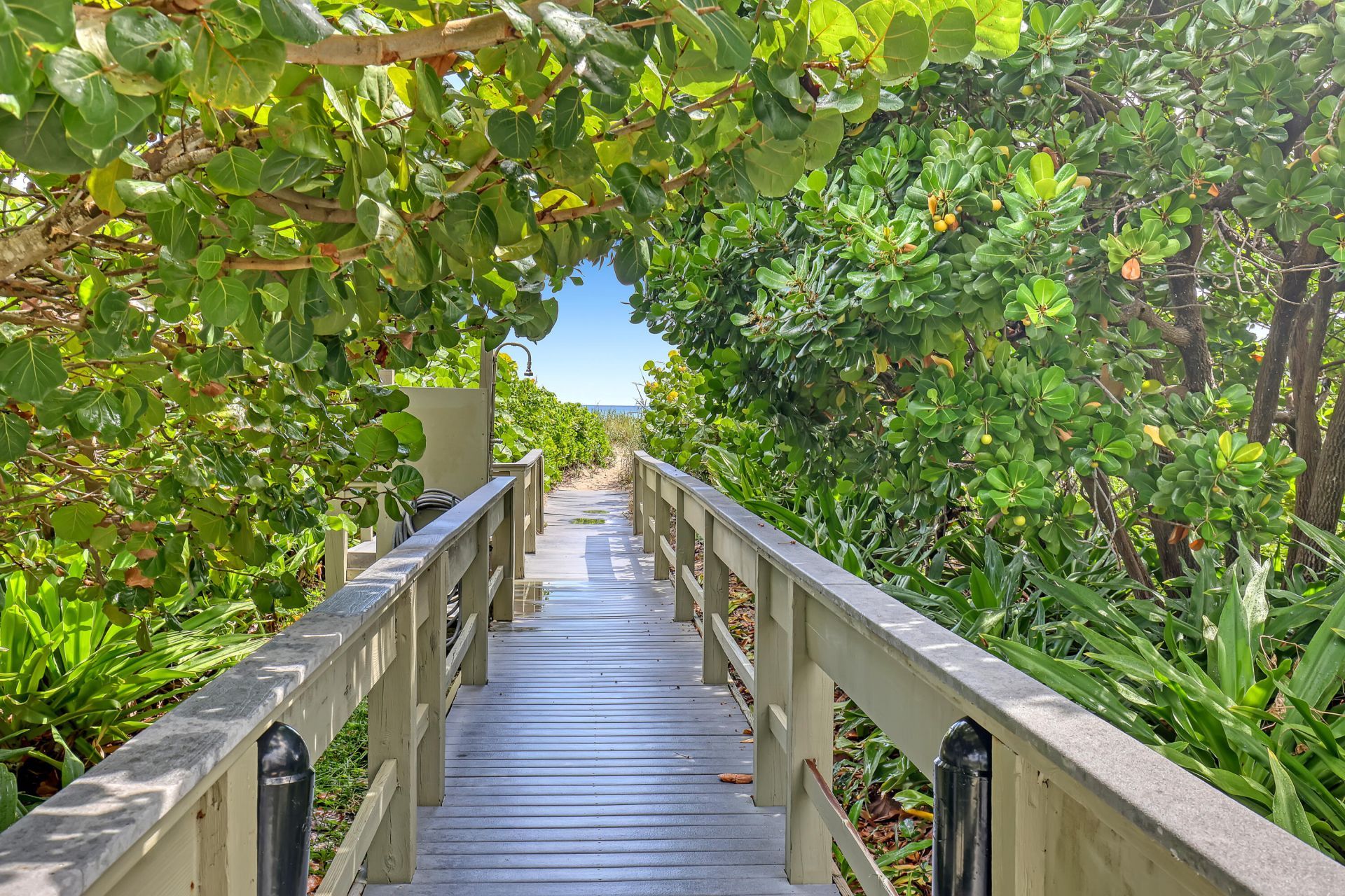3400 N Ocean Drive, Unit 101, Singer Island, FL 33404 Photo