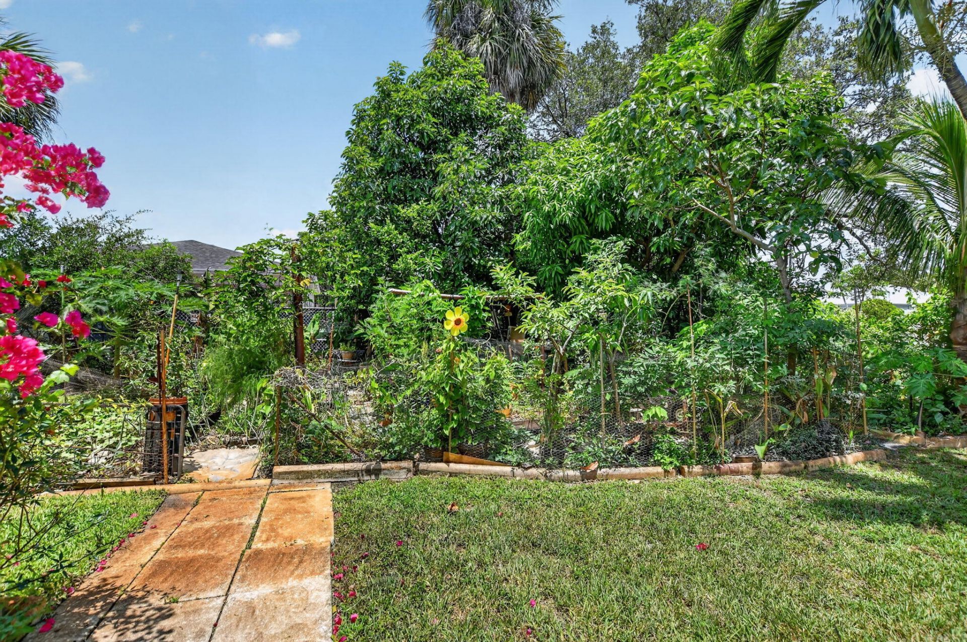 459 NE 1st Avenue, Deerfield Beach, FL 33441 Photo