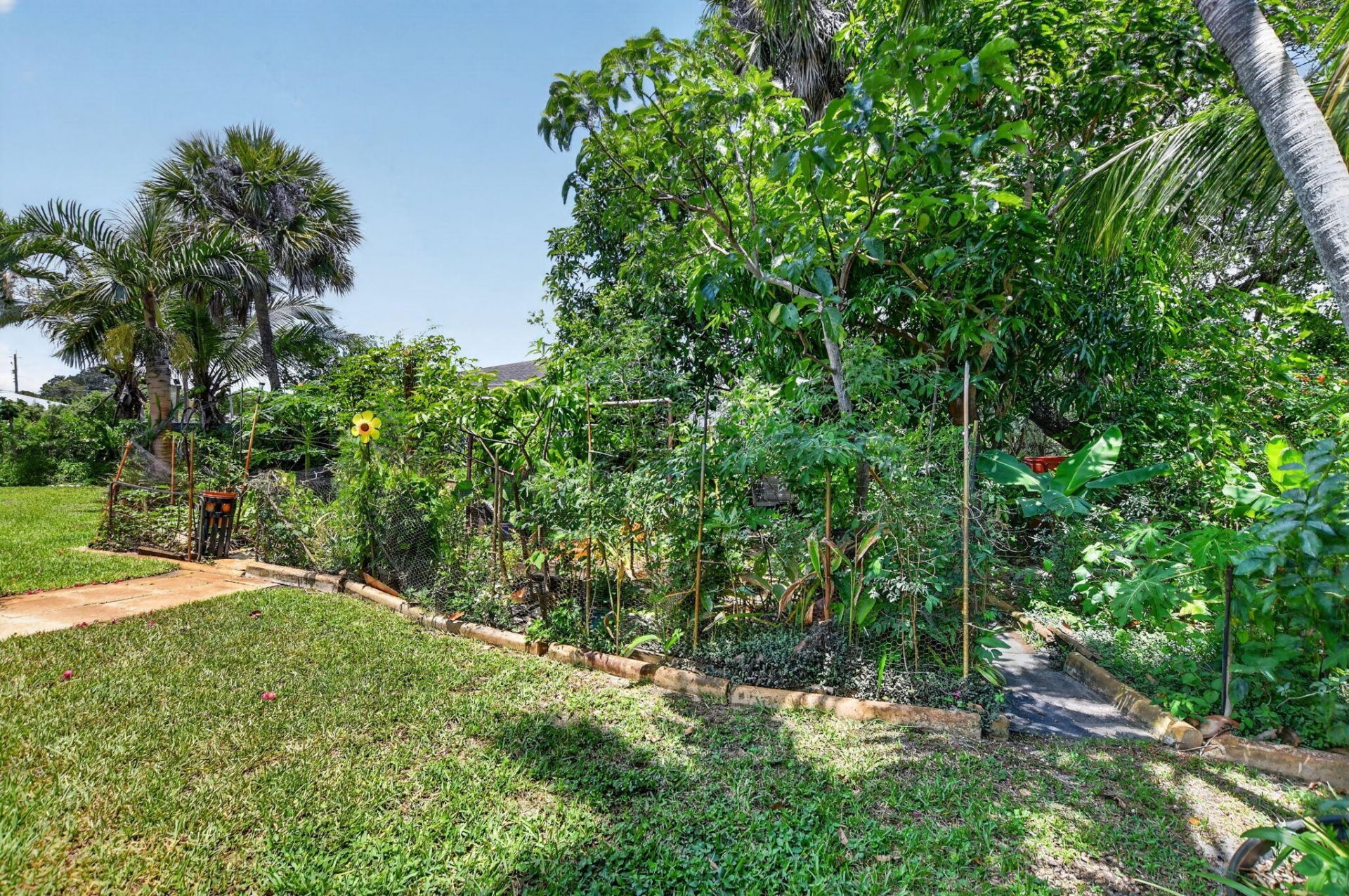 459 NE 1st Avenue, Deerfield Beach, FL 33441 Photo