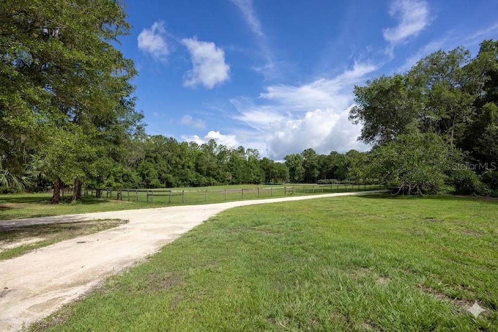 14810 NW 185 Street, Williston, FL 32696 Photo