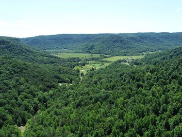 501 Jenkins Branch Road, Irvine, KY 40336