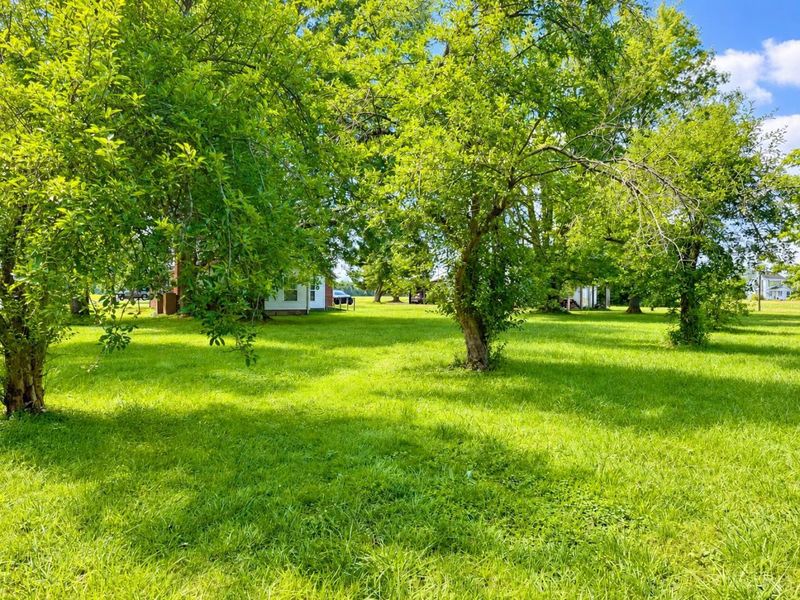 6441 Long Glady Road, Wayne Twp, OH 45107 Photo 14