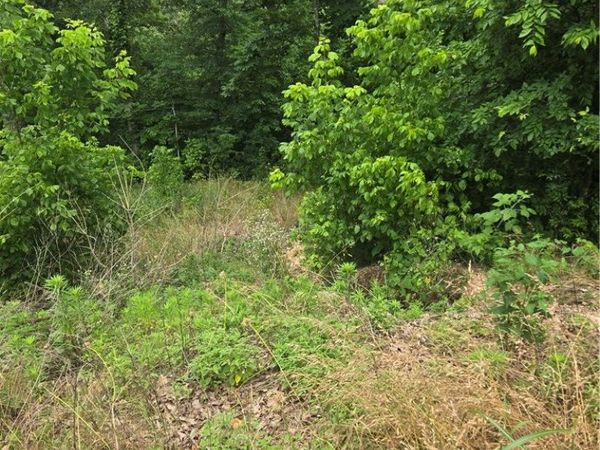 TBD Enfield Drive , Bella Vista, AR 72715