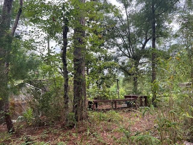 203 SE 45 Avenue , Cross City, FL 32628 Photo