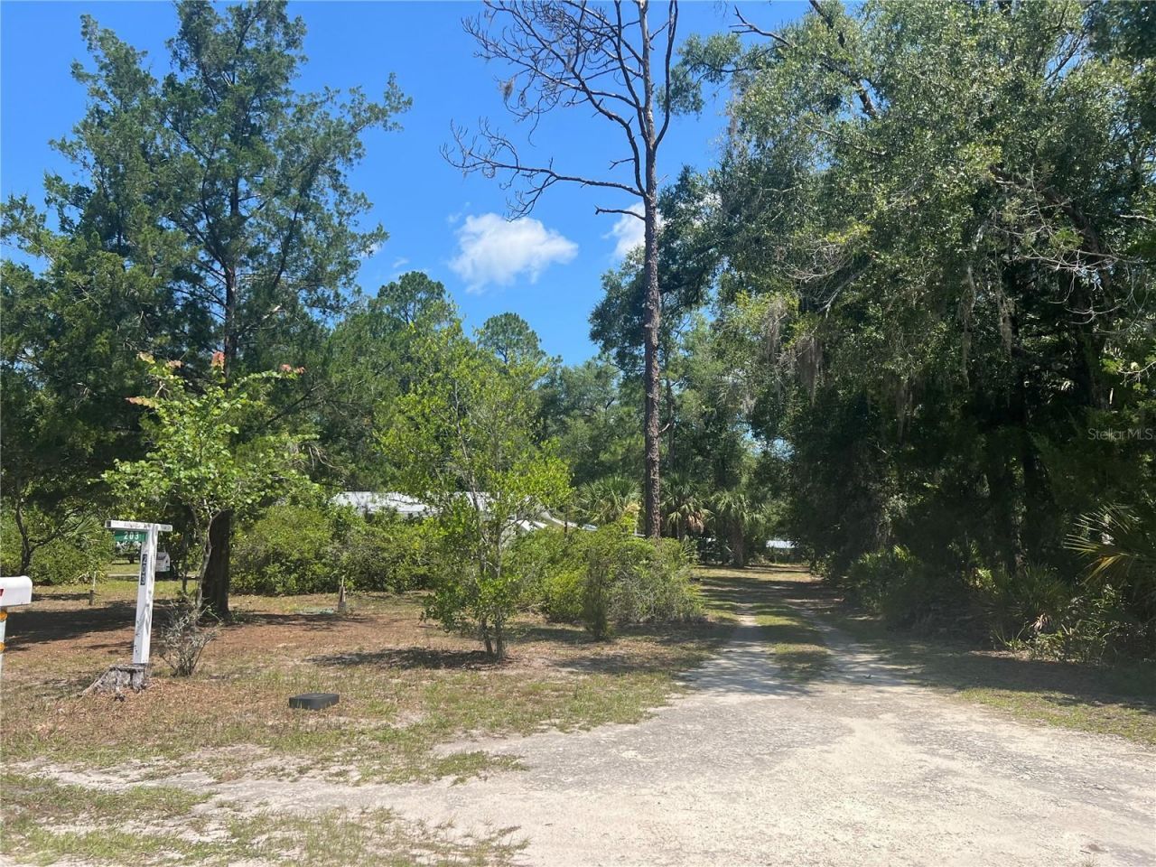 203 SE 45 Avenue , Cross City, FL 32628 Photo
