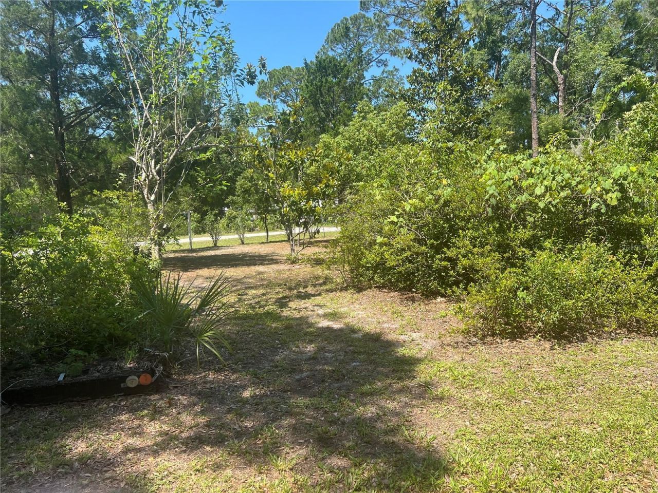203 SE 45 Avenue , Cross City, FL 32628 Photo