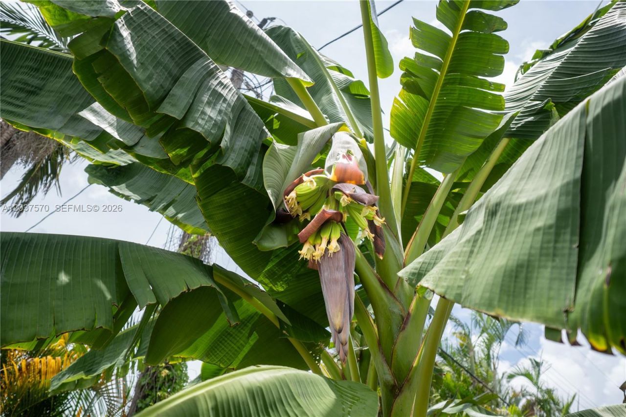 7899 NW 174th Ter, Hialeah, FL 33015 Photo