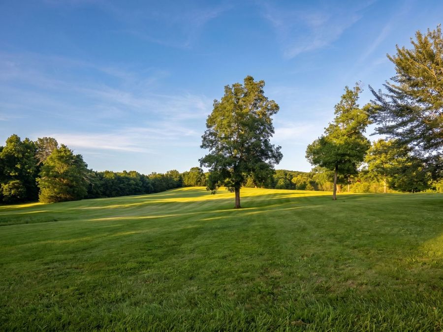 Property Image 97