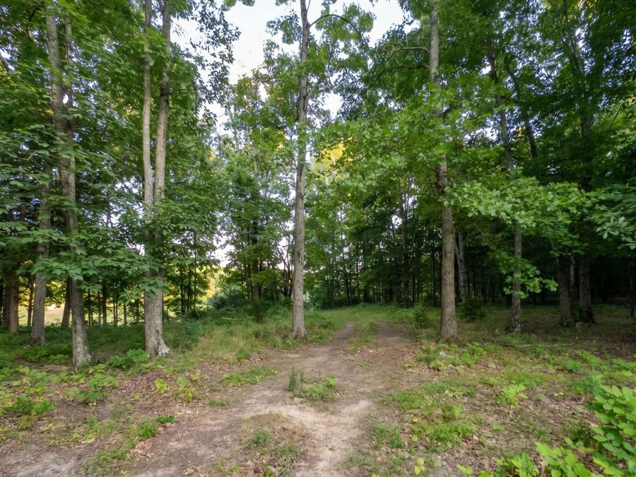 Property Image 99