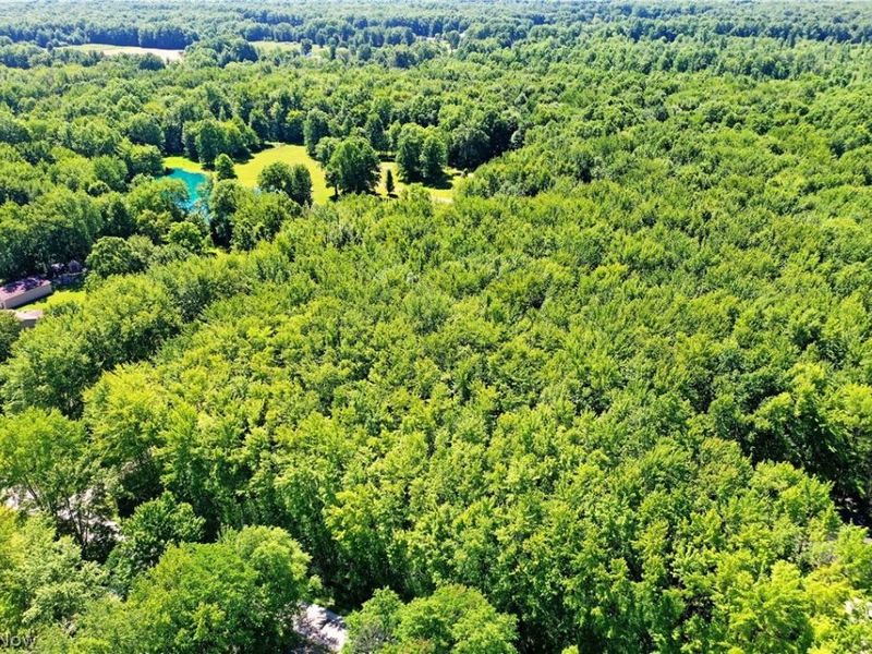 Airport Road NW, Warren, OH 44481 Photo 11