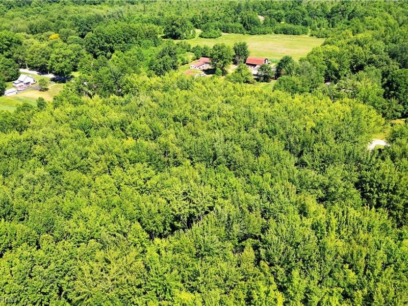 Airport Road NW, Warren, OH 44481 Photo 17