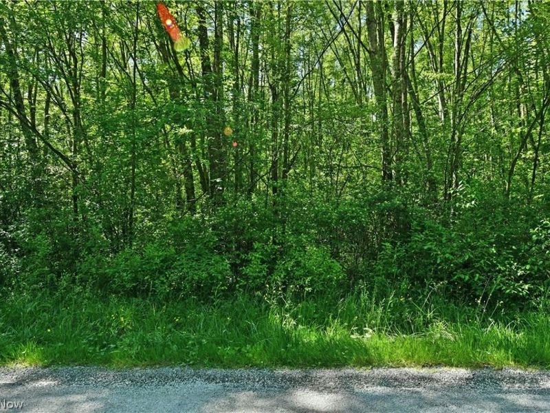 Airport Road NW, Warren, OH 44481 Photo 19