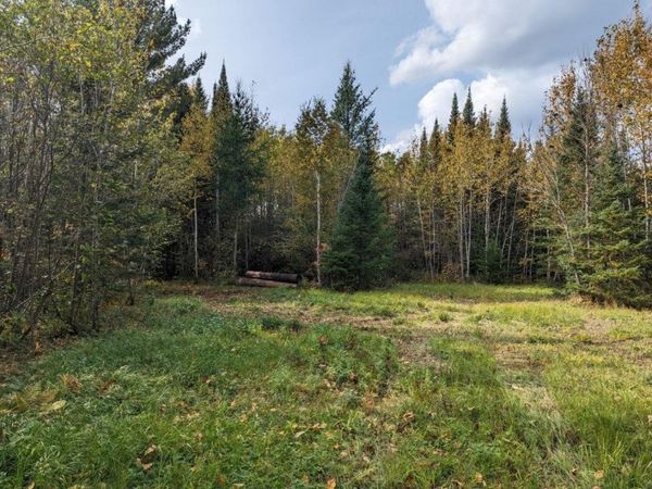 TBD Deer River Line, Littlefork, MN 56653