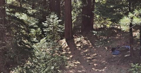 41100 Putt Road, Emigrant Gap, CA 95715 Photo