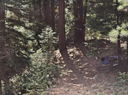 41100 Putt Road, Emigrant Gap, CA 95715 Photo