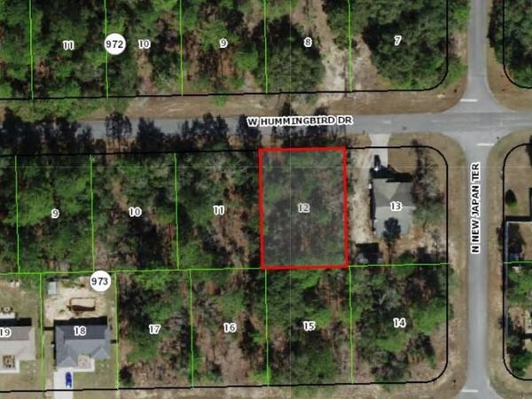 686 W HUMMINGBIRD DRIVE , CITRUS SPRINGS, FL 34434