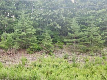 6201 Hidden Hill Road, Harrison, TN 37341