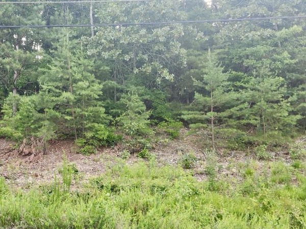 6201 Hidden Hill Road, Harrison, TN 37341