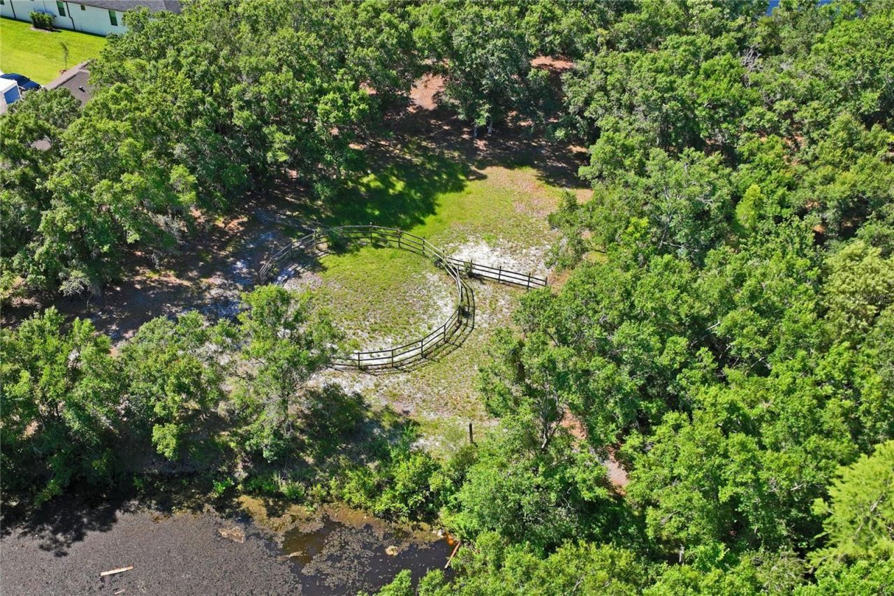 3530 Old Keystone Road, Tarpon Springs, FL 34688 Photo