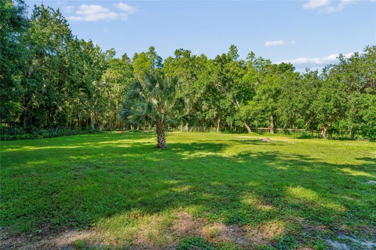3530 Old Keystone Road, Tarpon Springs, FL 34688 Photo