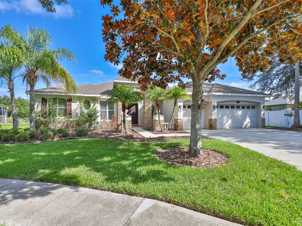 16508 AMBERWIND LANE , LUTZ, FL 33558