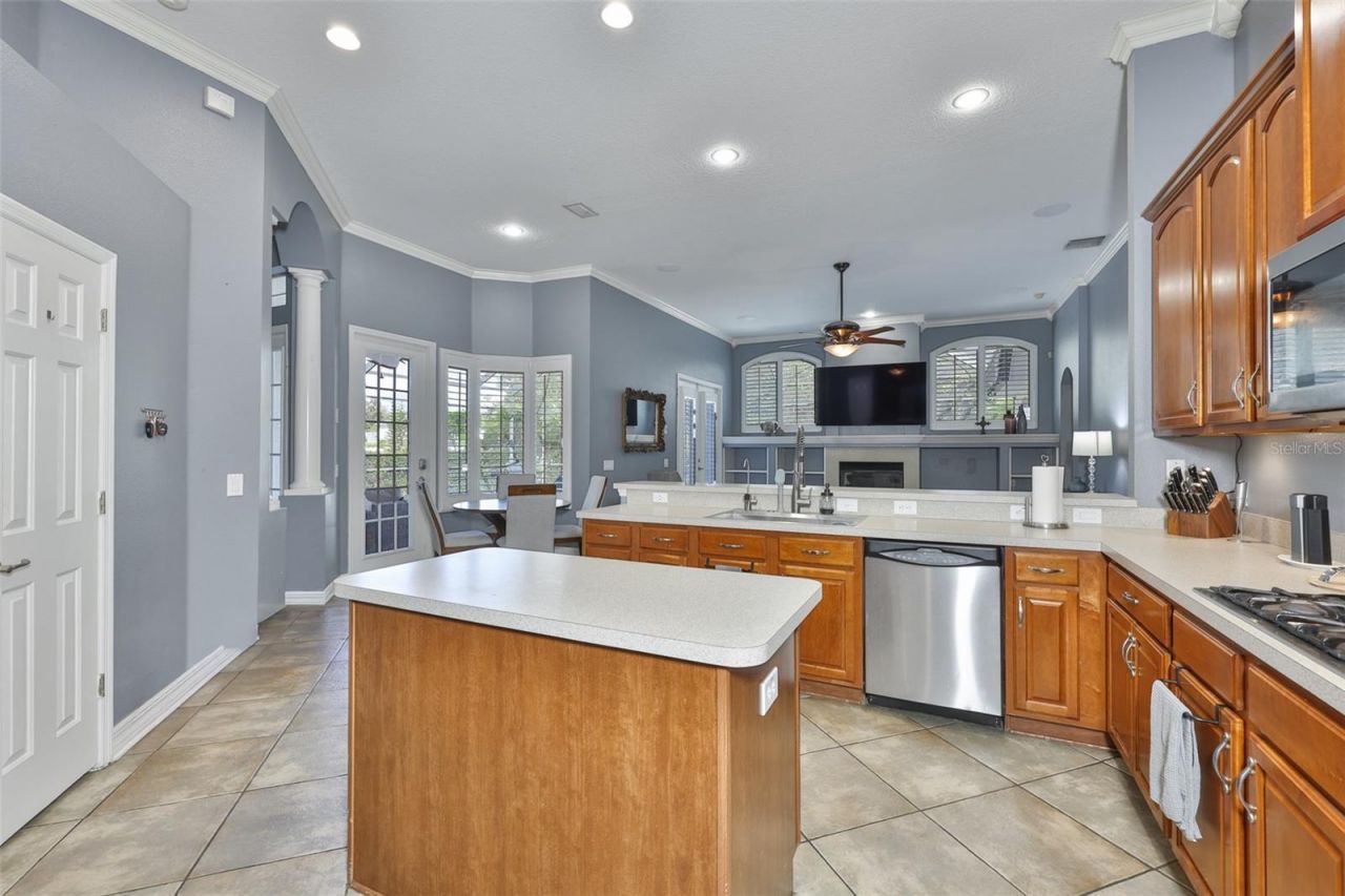 16508 Amberwind Lane, Lutz, FL 33558 Photo