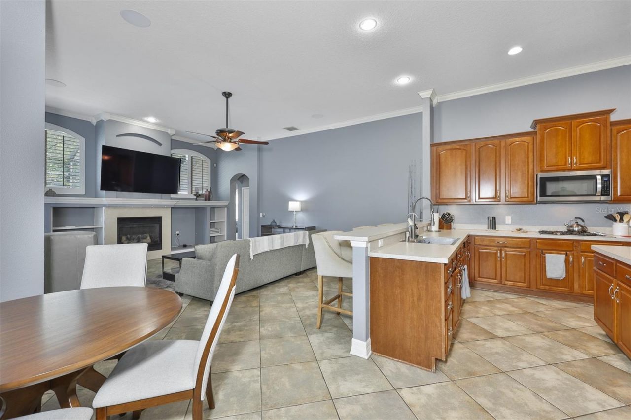 16508 Amberwind Lane, Lutz, FL 33558 Photo