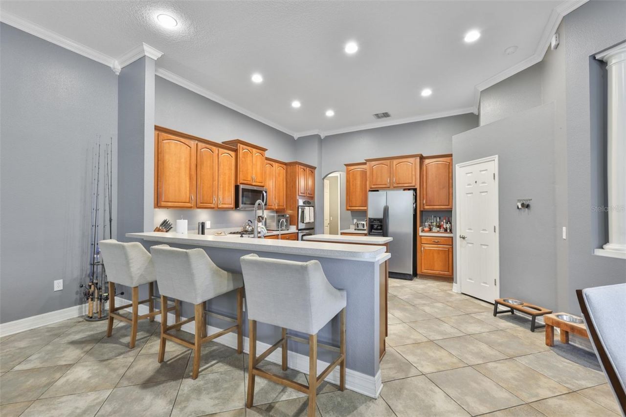 16508 Amberwind Lane, Lutz, FL 33558 Photo