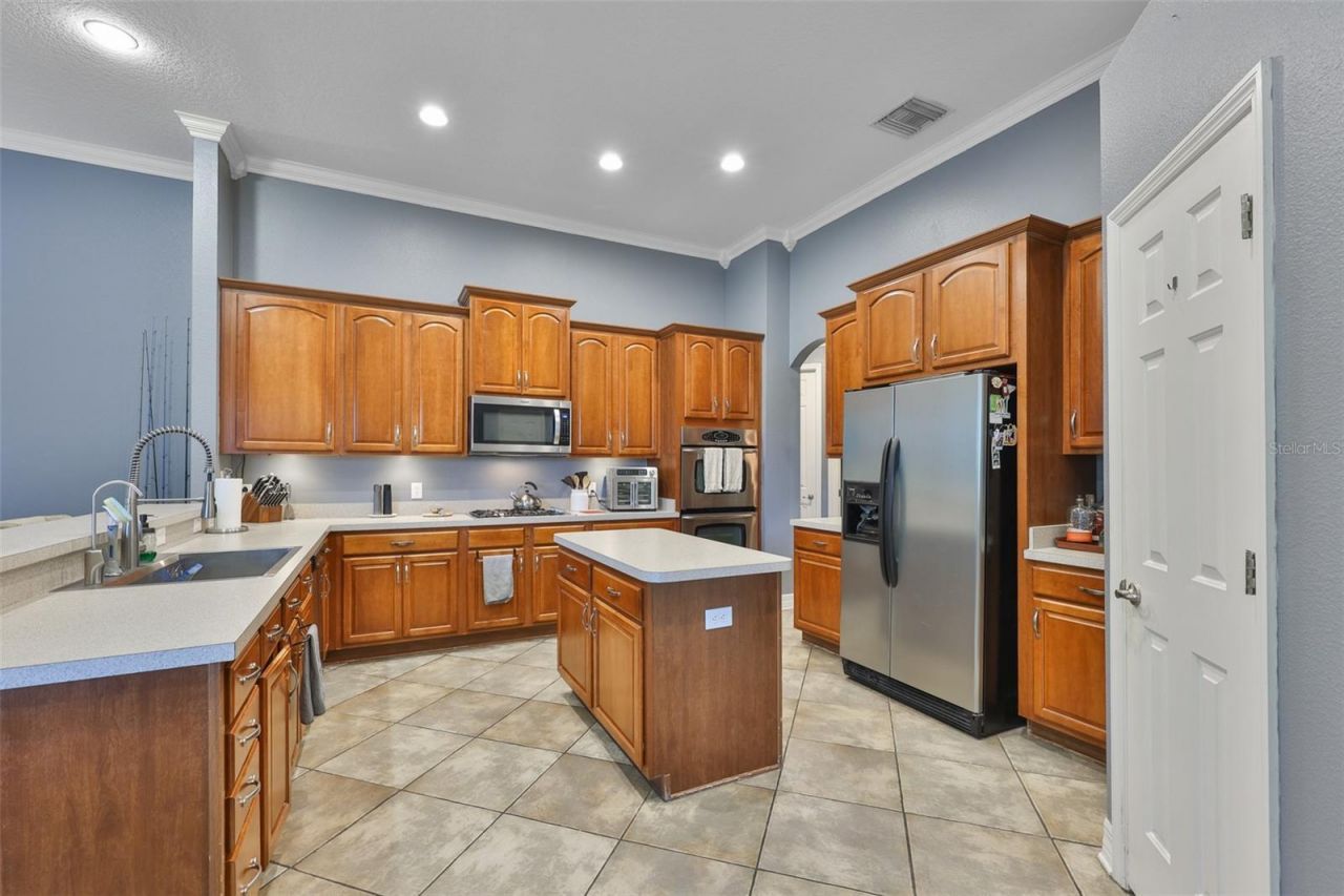 16508 Amberwind Lane, Lutz, FL 33558 Photo
