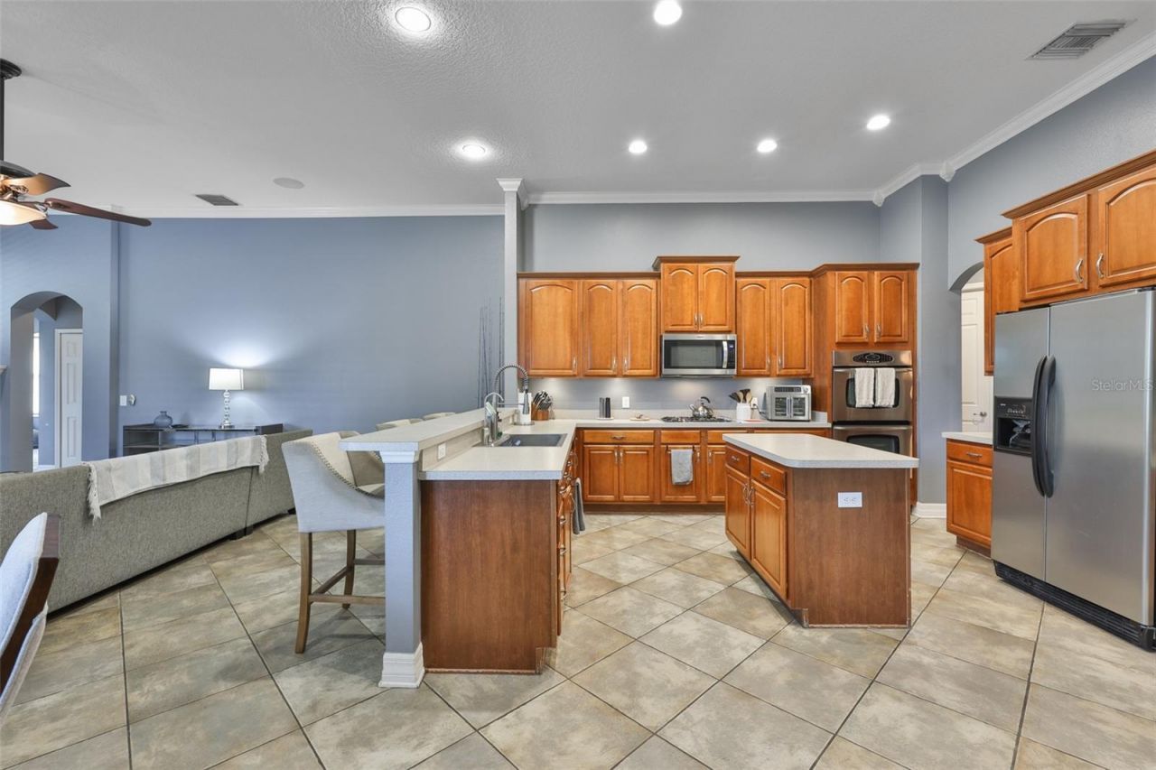 16508 Amberwind Lane, Lutz, FL 33558 Photo