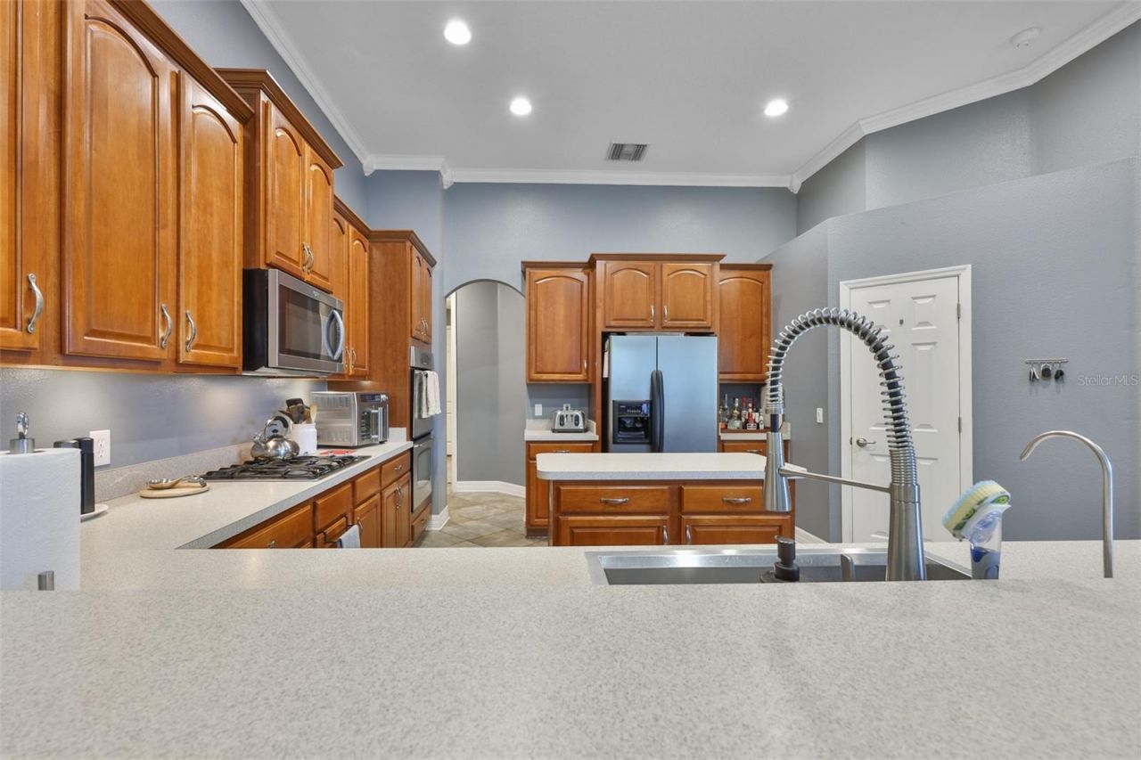 16508 Amberwind Lane, Lutz, FL 33558 Photo